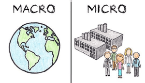 Read more about the article Micro and macro Economics