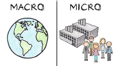 Read more about the article Micro and macro Economics