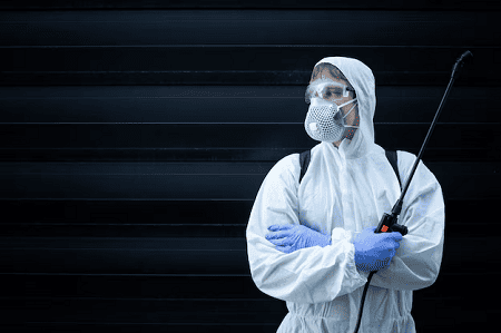 Read more about the article PEST Control