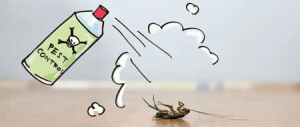 Read more about the article Prevention and Control of Pests