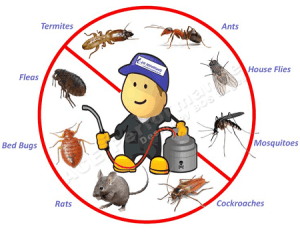 Read more about the article Responsibility of housekeeping in Pest Control