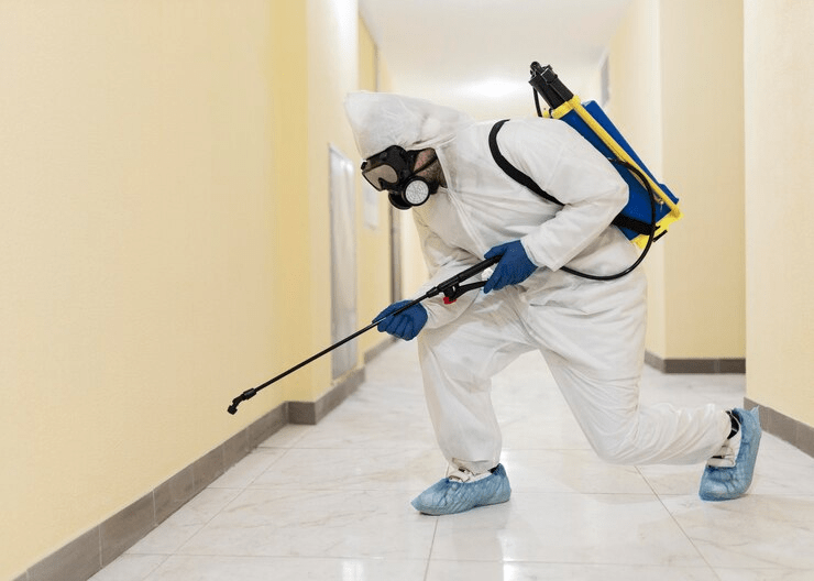 Responsibility of housekeeping in Pest Control 4 Responsibility of housekeeping in Pest Control