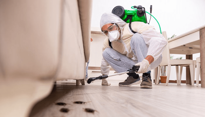 PEST Control