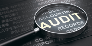 Read more about the article Auditing