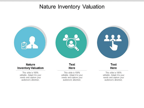 Nature Inventory valuation 2 Nature Inventory valuation