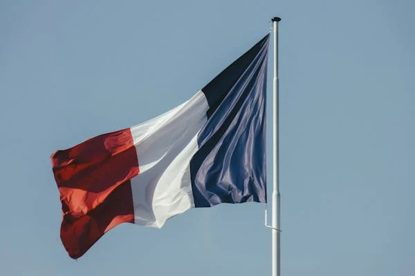 FRENCH VIVA VOCE ‐ II 3 FRENCH VIVA VOCE ‐ II