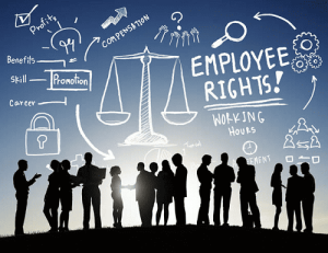 Read more about the article Evaluation of Industrial law