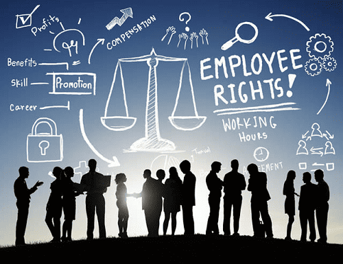 Read more about the article Evaluation of Industrial law