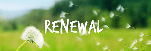 Read more about the article Renewal