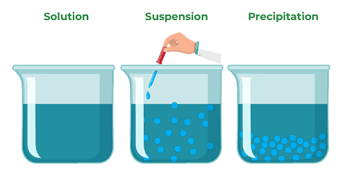 Read more about the article Suspension