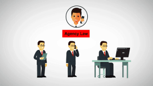 Read more about the article The law of Agency