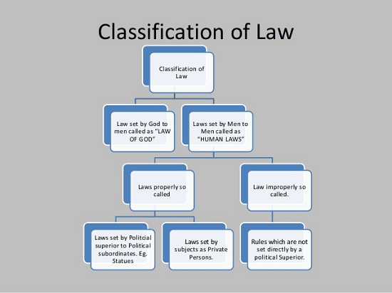Classification Of Law Is Divided Into Two Main Types Detroit Chinatown Classification Of Law Is Divided Into Two Main Types Detroit Chinatown