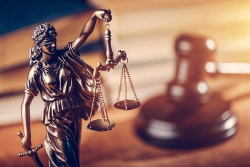 Read more about the article Law and Society